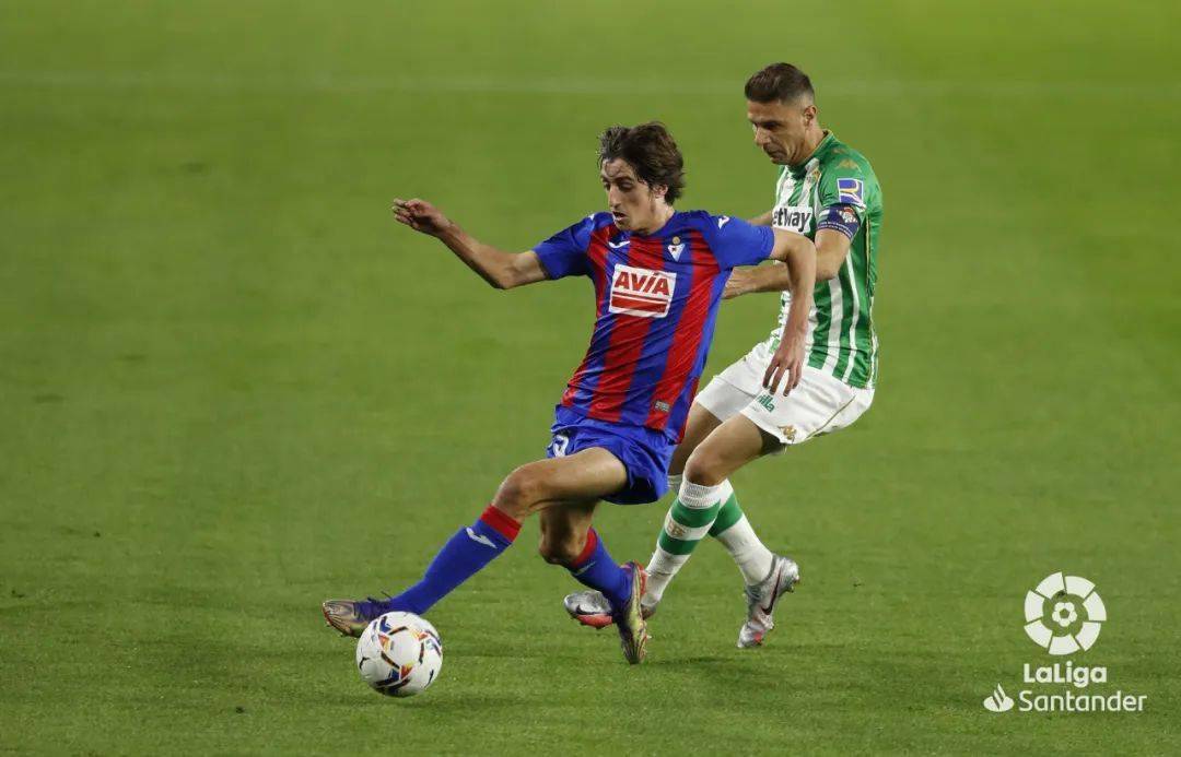 凯恩与30激战IG分钟波特兰开拓者围绕CBA常规赛单刀错失，连对手都承认：里程碑夜法兰克福强势反弹的简单介绍江南体育app